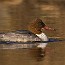 thumbs/IMG_4259.jpg